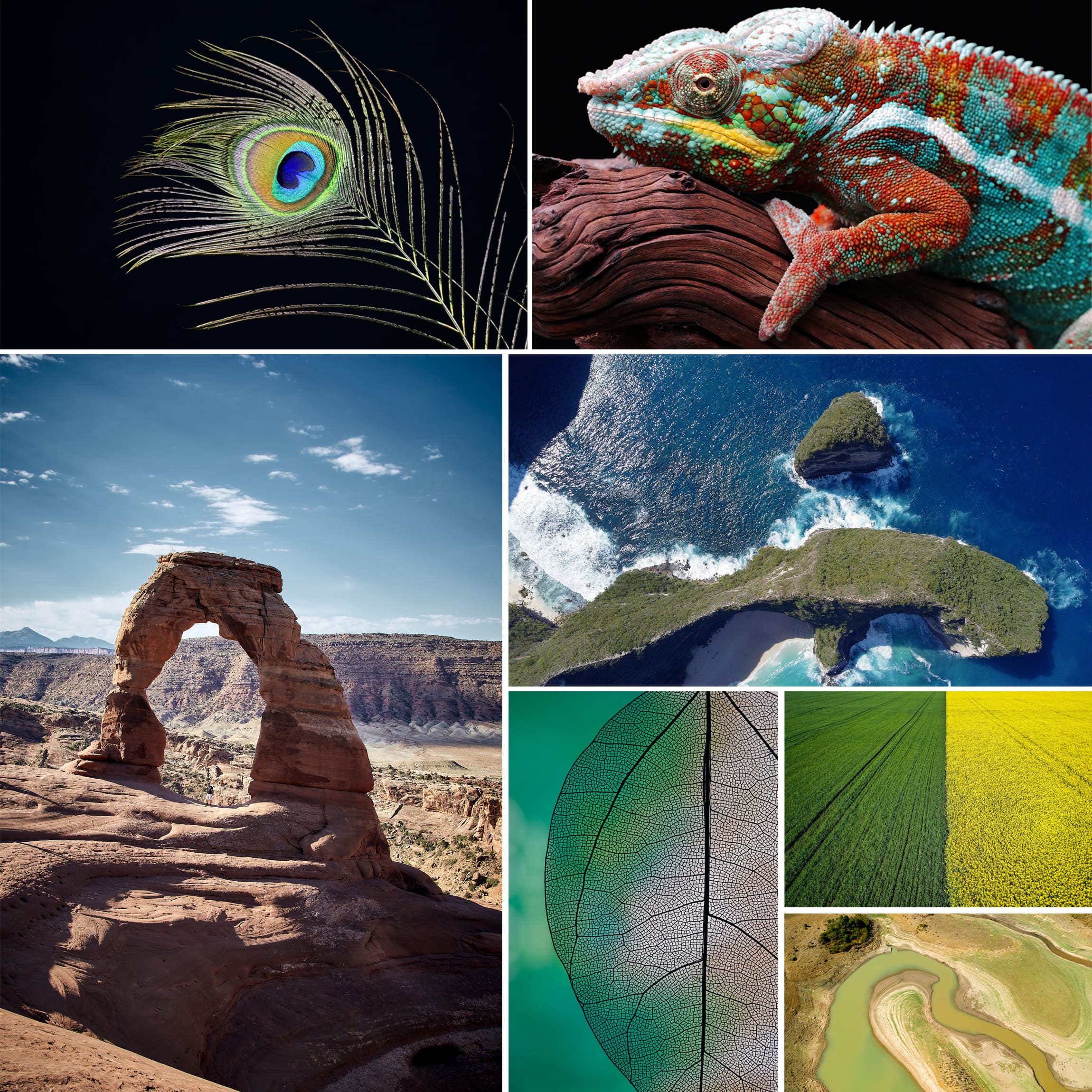 visual creativity tips